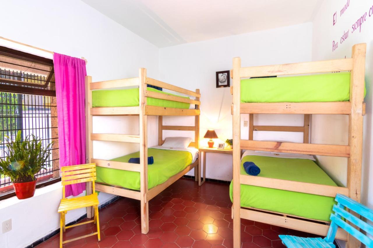 Bed in 6-Bed Dormitory Room