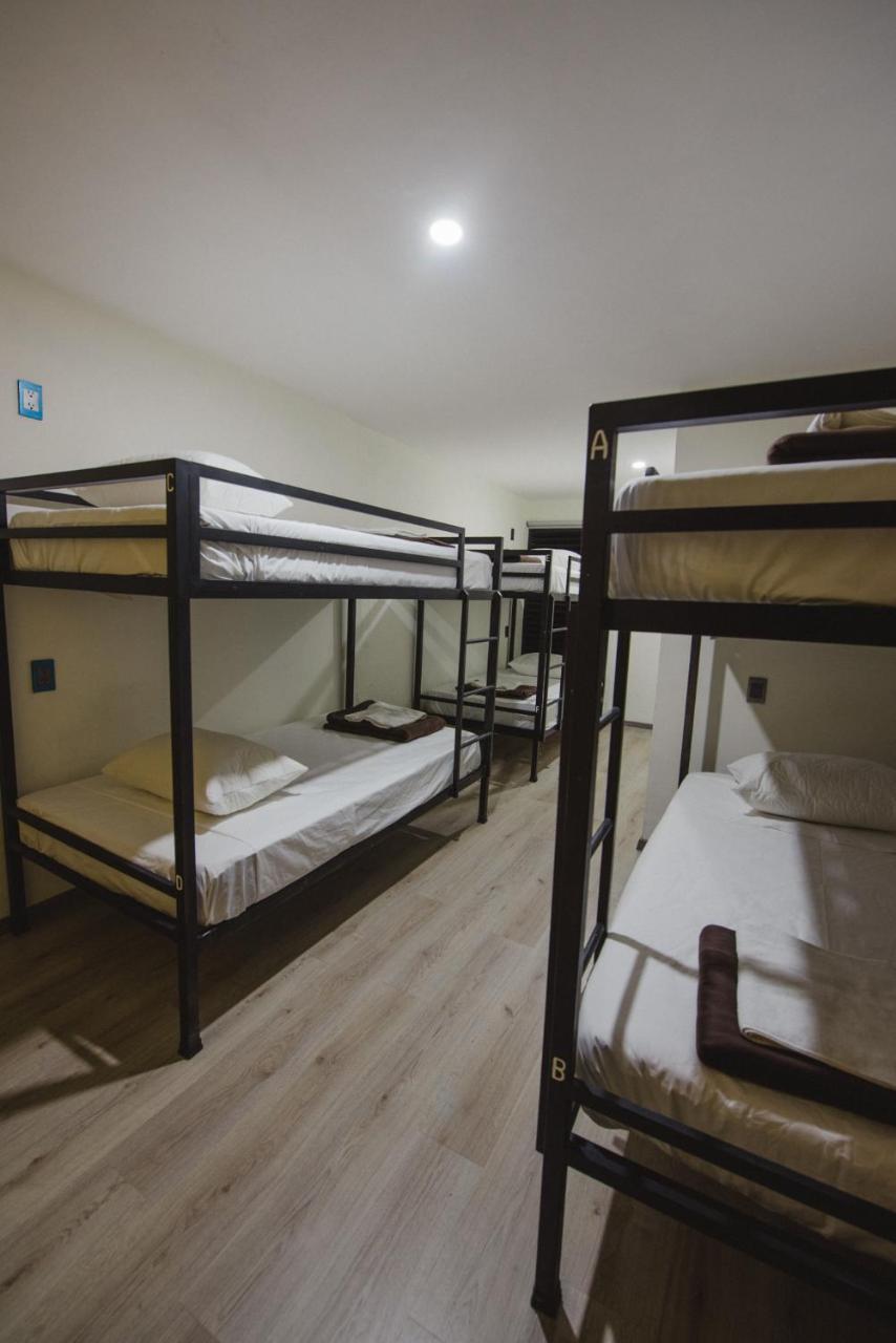 Bunk Bed in Mixed Dormitory Room