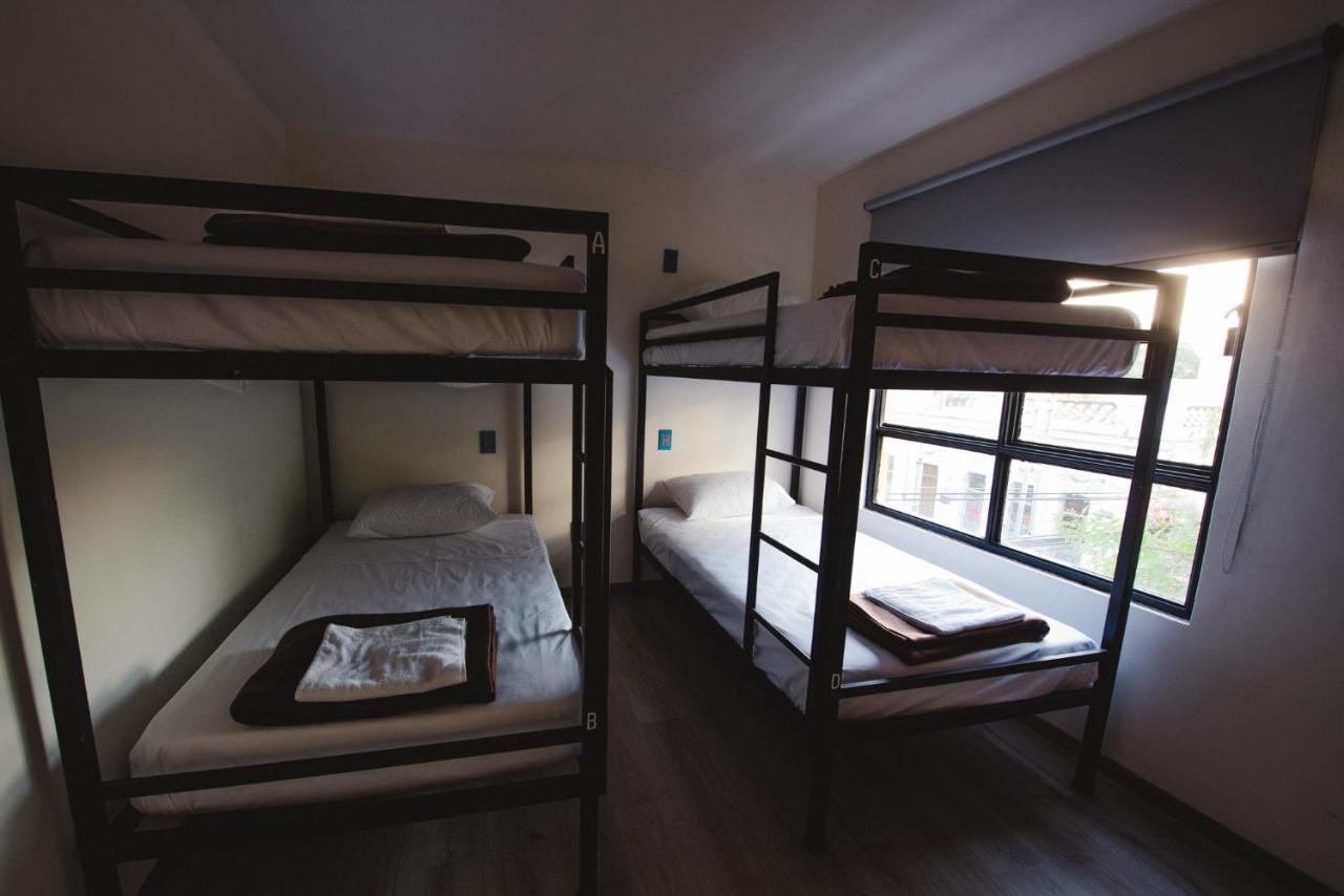 Bunk Bed in Mixed Dormitory Room