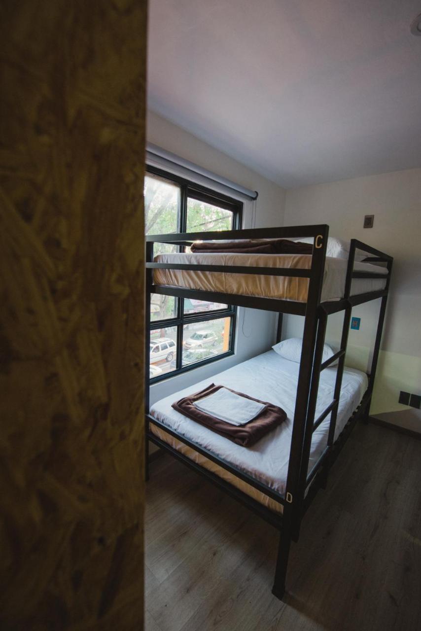 Bunk Bed in Mixed Dormitory Room