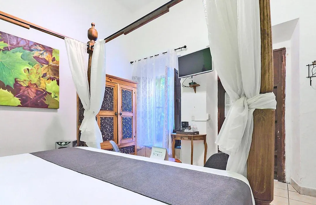 Hotel Rosa Morada-1