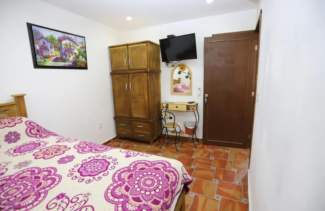 Hotel Boutique Casa Elefante-1