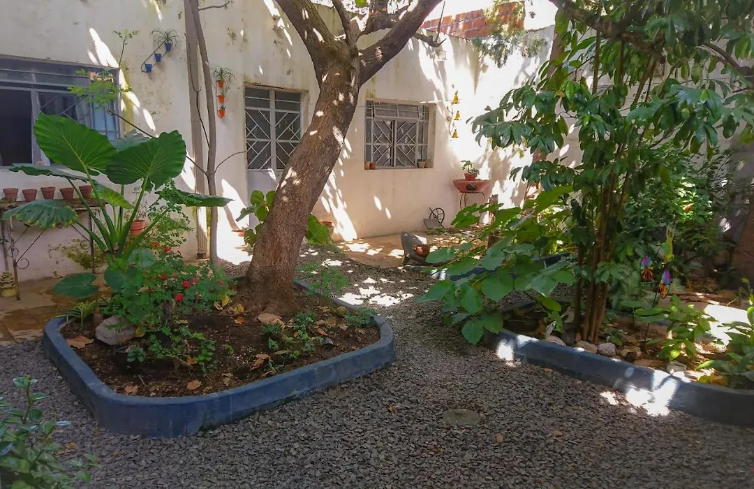 Casa De La Luz-1
