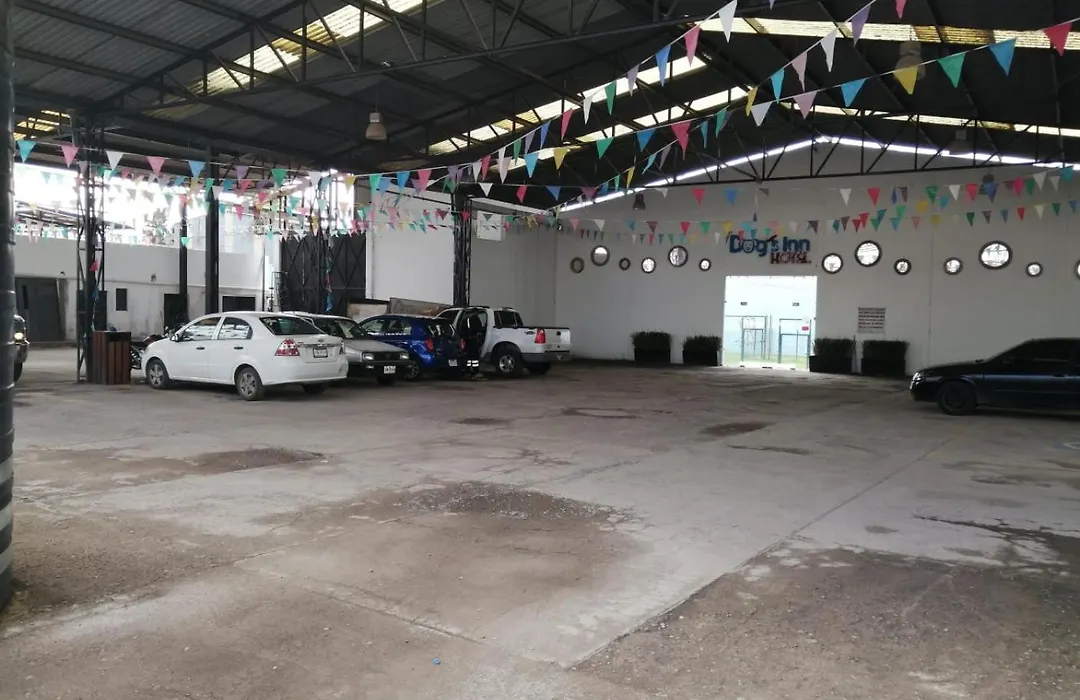 Hotel ANB Aeropuerto Guadalajara-1