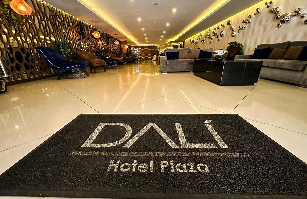 Hotel Dali Plaza Ejecutivo-1