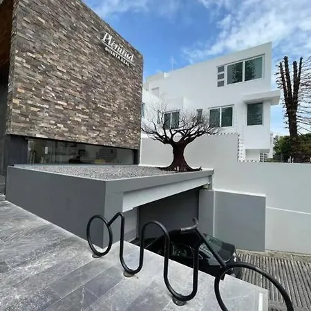 Apartamento fuera de disponibilidad-3