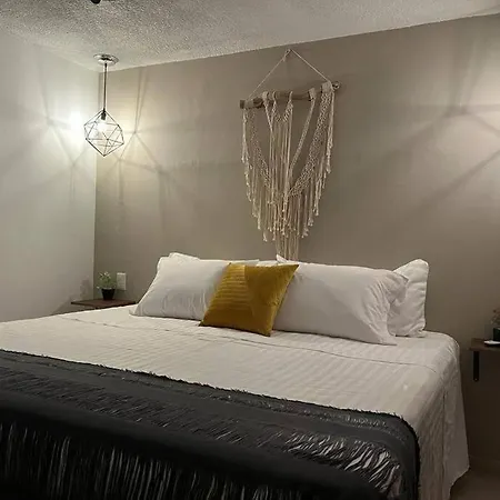 La Casa Del Budita Gdl-Zapopan-3