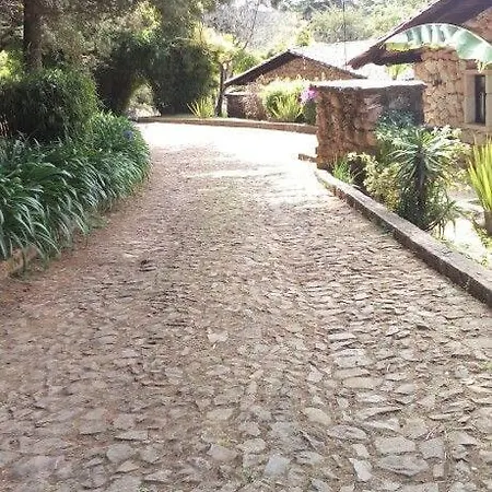 Cabanas Mazamitla-3