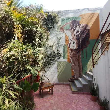 Hostel Hospedarte Chapultepec-2