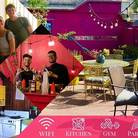 Free Spirit Hostel Guadalajara-3