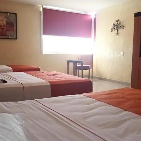 Hostalia Hotel Expo & Business Class-3