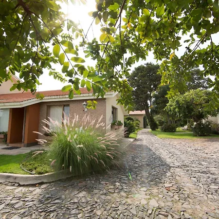 La Casita de Fraida-3