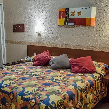 Hotel Posada Regis-3
