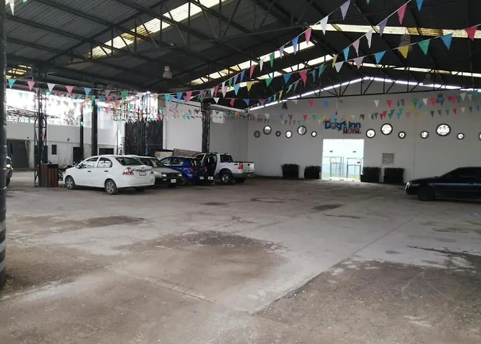 Hotel ANB Aeropuerto Guadalajara Las Pintas